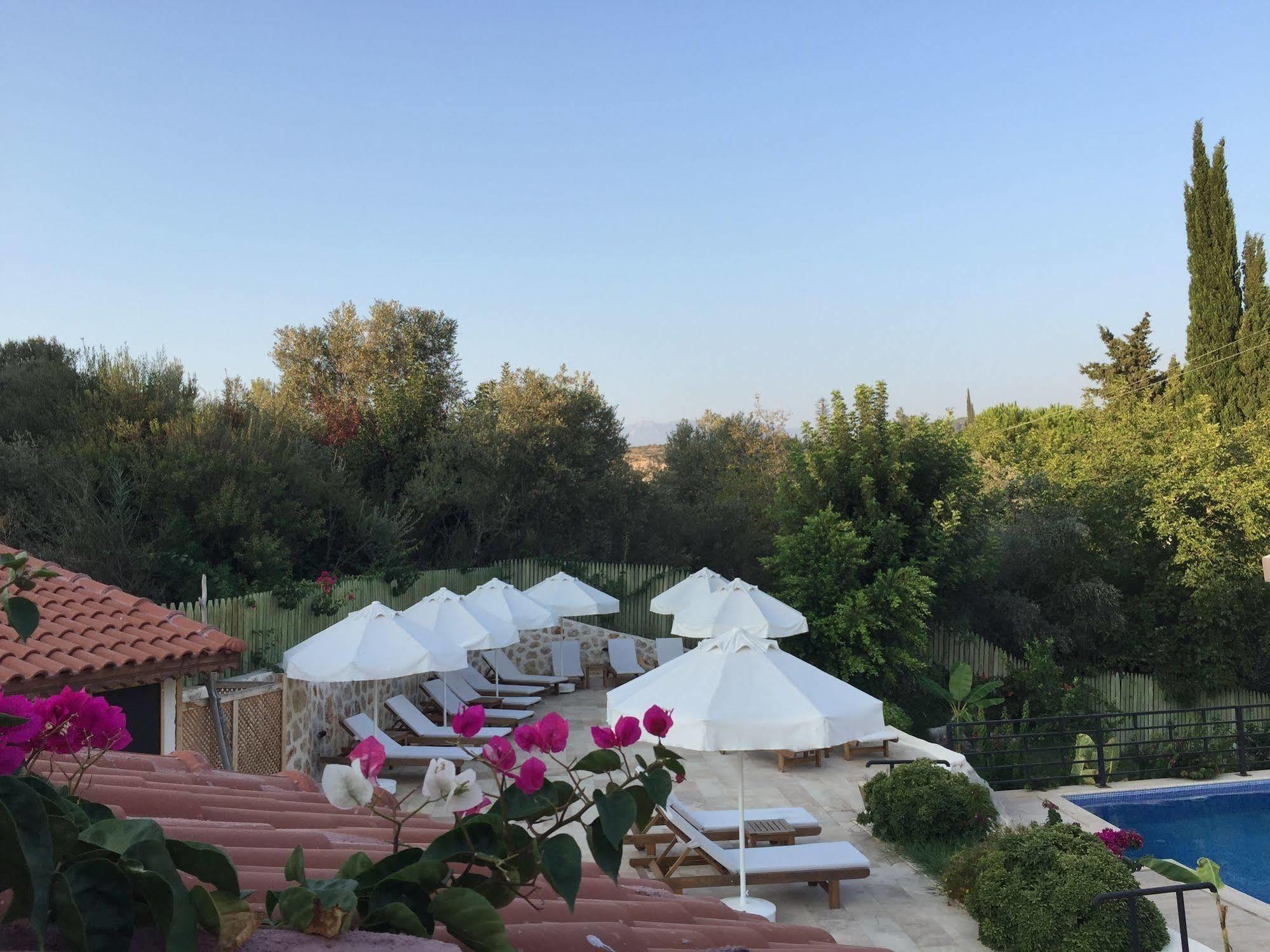 Dardanos Hotel Gelemis Exterior photo
